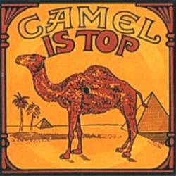 Krokodil : Camel Is Top